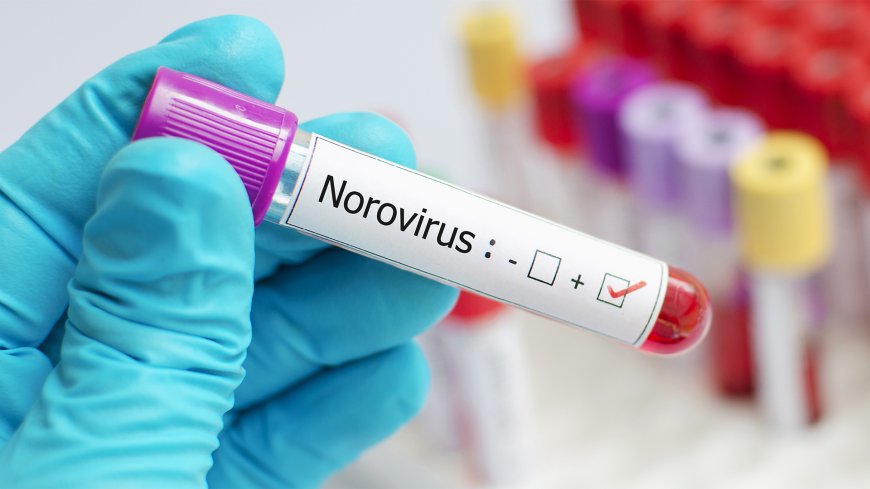 What exactly is the norovirus?