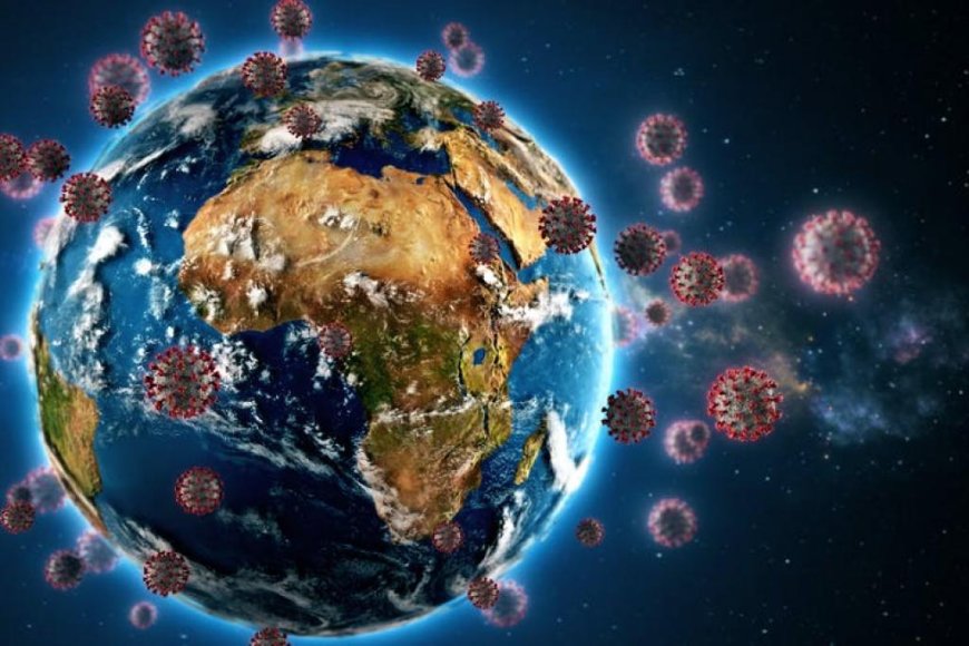 What are World Coronaviruses, exactly?